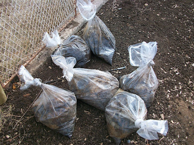 Bags of used coffee grounds.