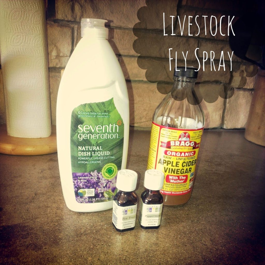 Homemade fly spray.